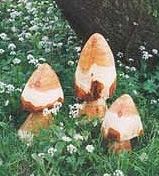 Sculptural Toadstools - Natural Finish