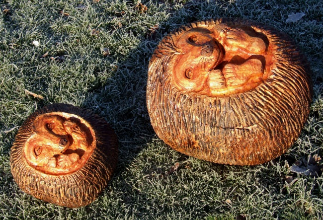 Wooden Hedgehog Ball