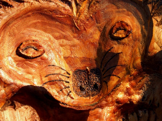 Wooden Hedgehog Ball