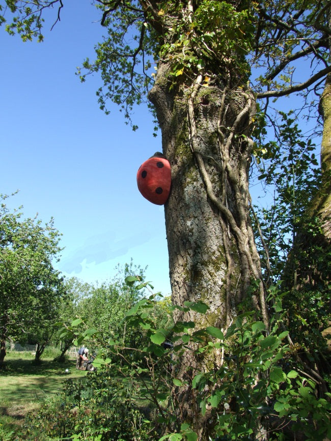 Painted Wooden Ladybird Sculpture