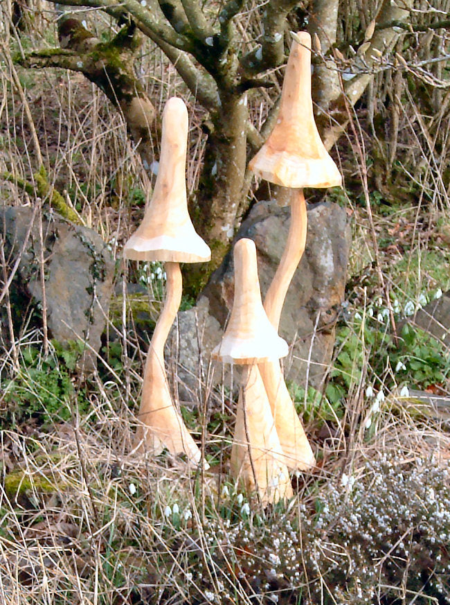 Wooden Bell Toadstool sculptures