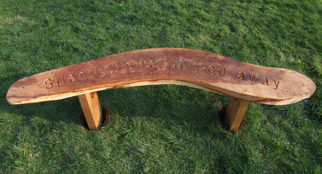 Children's School Playground/Garden Oak Story Telling Bench