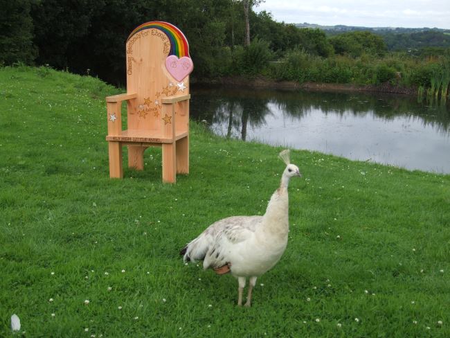 Memorial Storytelling Chairs