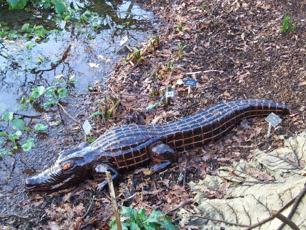 Wooden Crocodile