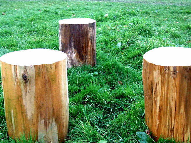 Outdoor Log Seats
