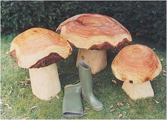 Seating Mushrooms