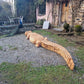 Giant wooden carved crocodile