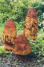 Sculptural Toadstools - Sinister Torched Finish