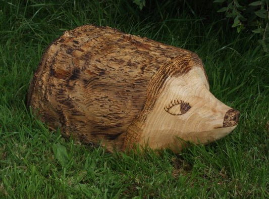 Ornamental Hedgehog