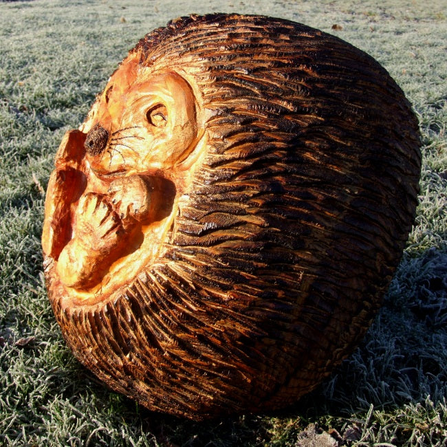 Wooden Hedgehog Ball