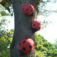 Painted Wooden Ladybird Sculpture