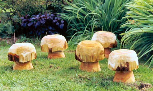 Button Mushrooms
