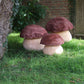 Chestnut Mushroom Seating