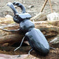 Stag Beetle Wooden Garden Sculpture